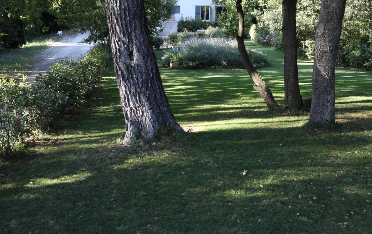 Maison Calme Et Verdure Saint-Cannat Eksteriør billede